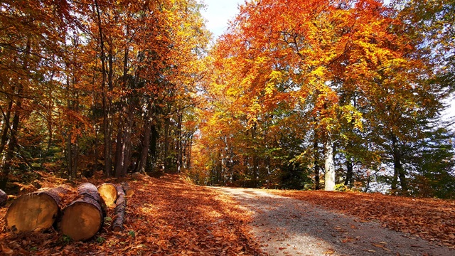 Tojzlov vrh, foto. Visit Maribor